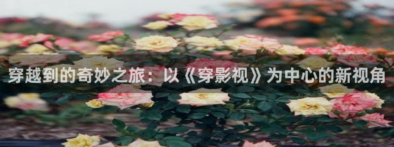 浮力永久影院：穿越到的奇妙之旅：以《穿影视》为中心的新视角