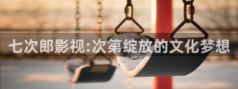 久久久浮力影院：七次郎影视:次第绽放的文化梦想