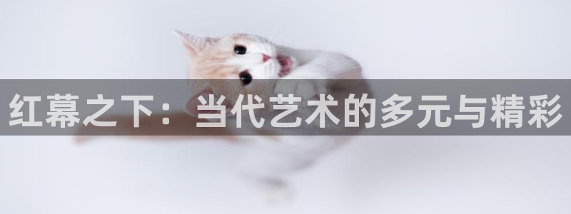 浮力影院在线地址：红幕之下：当代艺术的多元与精彩
