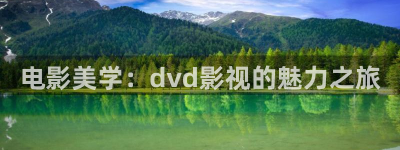 浮力最新影院：电影美学：dvd影视的魅力之旅