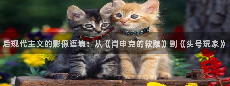 wy浮力影院：后现代主义的影像语境：从《肖申克的救赎》到《头号玩家》