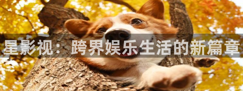520764浮力影院：星影视：跨界娱乐生活的新篇章