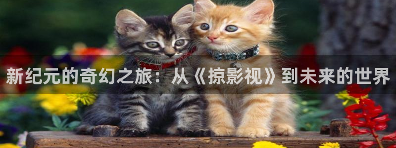 国产第二页浮力影院：新纪元的奇幻之旅：从《掠影视》到未来的世界