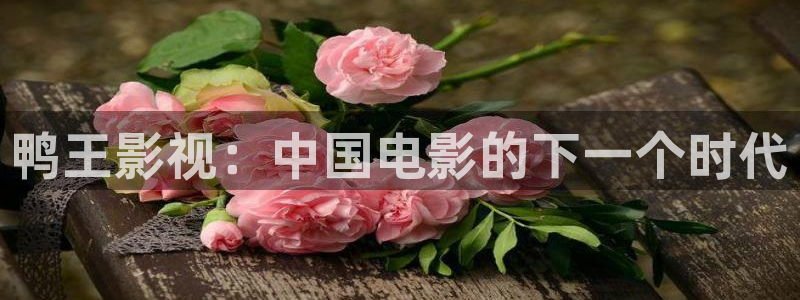 浮力影视院：鸭王影视：中国电影的下一个时代