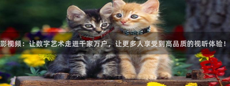国产浮力影院免费动漫：影视频：让数字艺术走进千家万户，让更多人享受到高品质的视听体验！