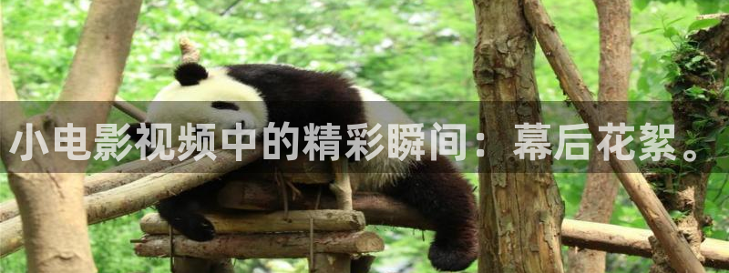 浮力影院播放路线：小电影视频中的精彩瞬间：幕后花絮。